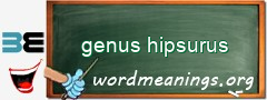 WordMeaning blackboard for genus hipsurus